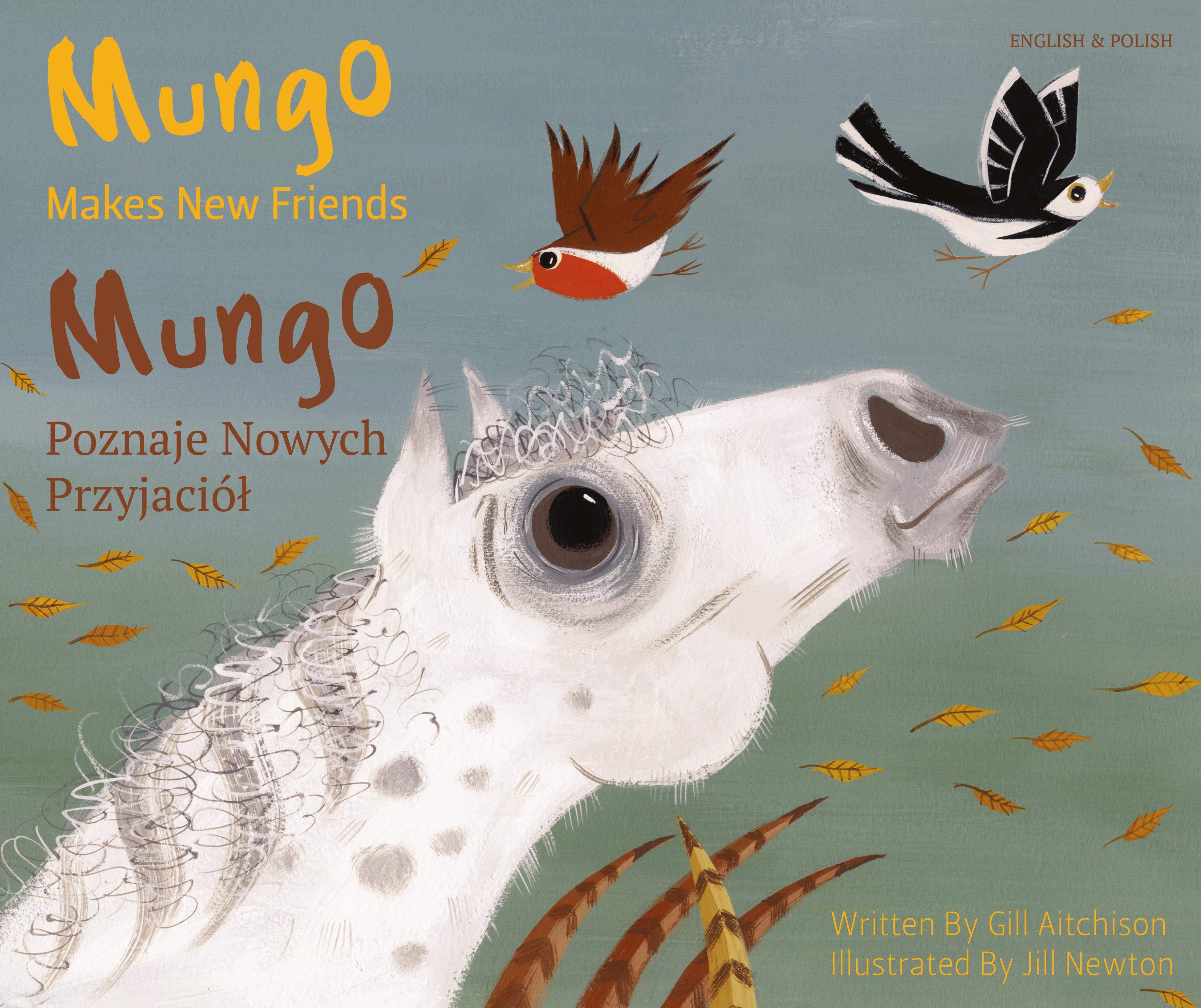Mungo Makes New Friends - English and Polish version Mungo Makes New Friends - English and Polish version