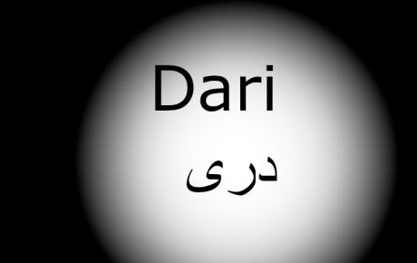 A dark image with a white spotlight and the words "spotlight on Dari" and the Dari word for the language